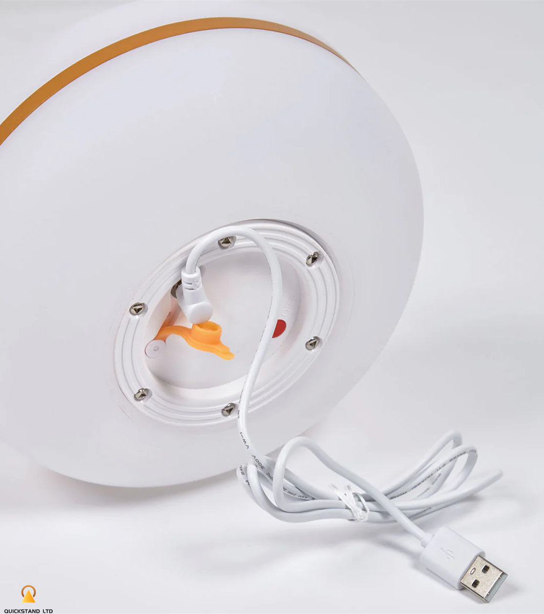 Renaud Portable Desk Lamp